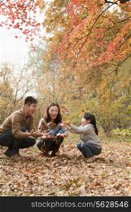 Family throwing leaves in the park in the autumn