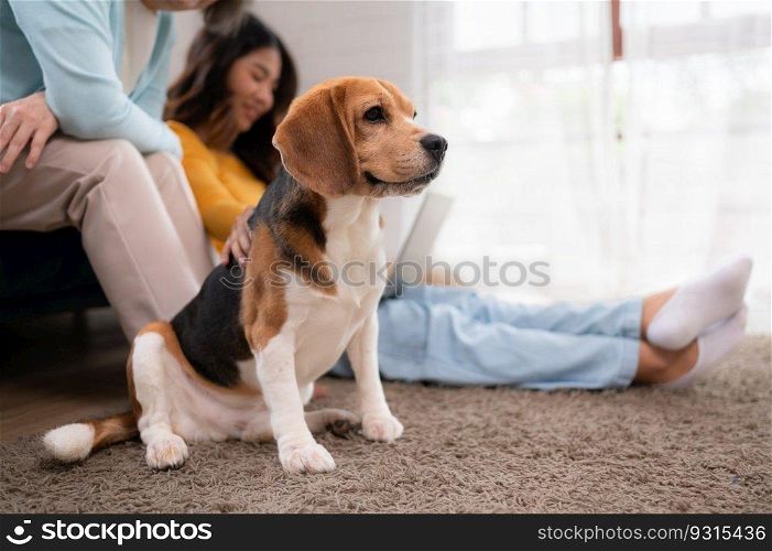 Family vacation, mother, daughter, and beagle puppy relaxing on weekends in the house’s leisure room