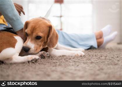 Family vacation, mother, daughter, and beagle puppy relaxing on weekends in the house&rsquo;s leisure room