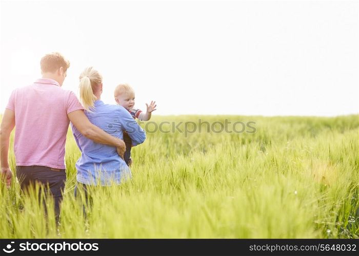 Family Walking In Field Carrying Young Baby Son