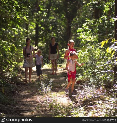 Family walking through forest in Costa Rica