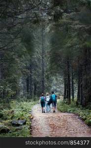 Family walking through the forest. Spending vacation on wandering with backpacks in forests