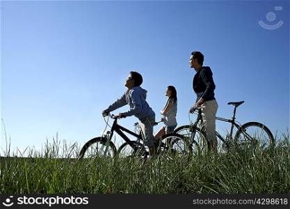 Family with bicycles resting in the sun