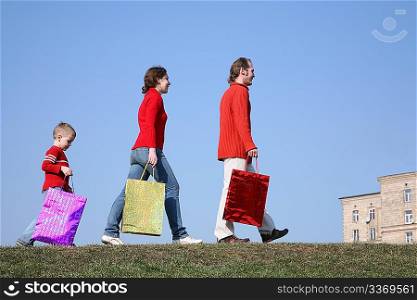 family with big bags on meadow