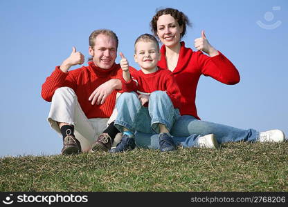 family with bou OK gesture on meadow