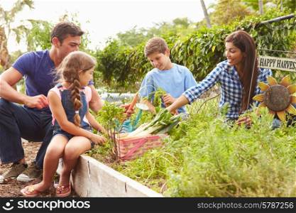Family Working On Allotment Together