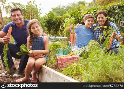Family Working On Allotment Together