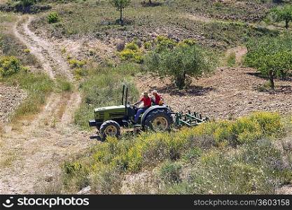 Faming land in Murcia