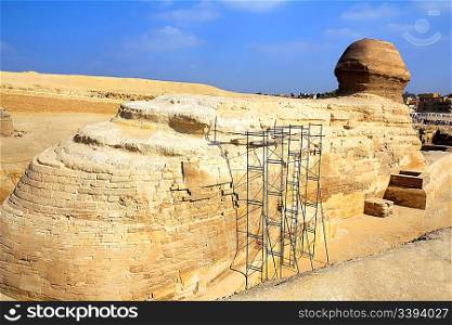 famous egypt sphinx in Giza - view from behind