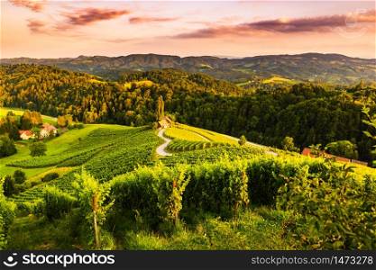 Famous heart shaped street at vineyards in Slovenia close to the border with Austria south styria. tourist destination. Famous heart shaped street at vineyards in Slovenia close to the border with Austria south styria.