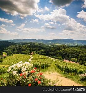 Famous Heart shaped wine road in Slovenia in summer, Heart form - Herzerl Strasse, vineyards in summer, Spicnik. Herzerl Strasse, vineyards in summer, Spicnik