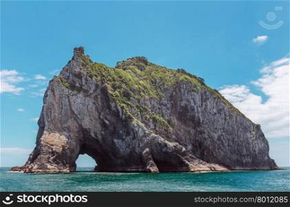 famous Hole in the Rock in the Bay of Islands, New Zealand