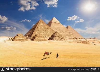 Famous Pyramids of Egypt and a bedouin with a camel, Giza, Cairo.