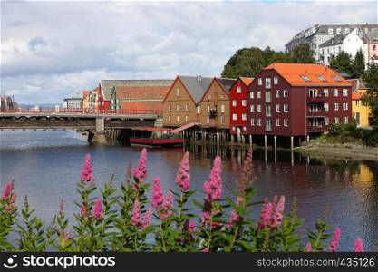 famous storehouses on river side of Nidelva, Trondheim