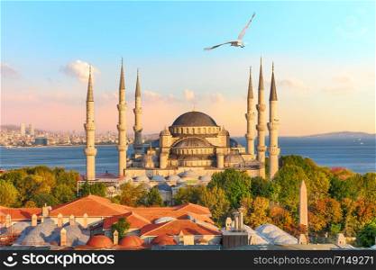 Famous Sultan Ahmet Mosque or the Blue Mosque, one of the most known sights of Istanbul.