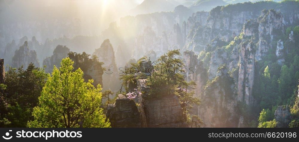 Famous tourist attraction of China - panorama of Zhangjiajie stone pillars cliff mountains on sunset at Wulingyuan, Hunan, China. Zhangjiajie mountains, China