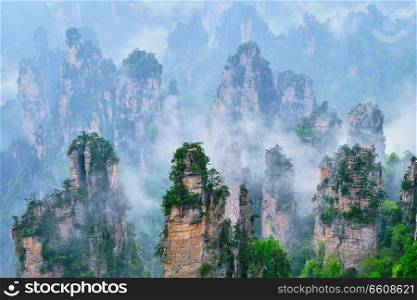 Famous tourist attraction of China - Zhangjiajie stone pillars cliff mountains in fog clouds at Wulingyuan, Hunan, China. Zhangjiajie mountains, China