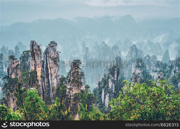 Famous tourist attraction of China - Zhangjiajie stone pillars cliff mountains in fog clouds at Wulingyuan, Hunan, China. Zhangjiajie mountains, China