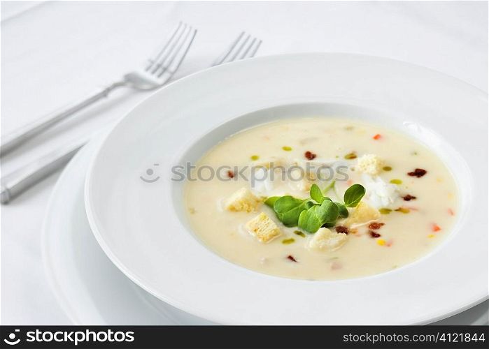 Fancy Bowl of Soup