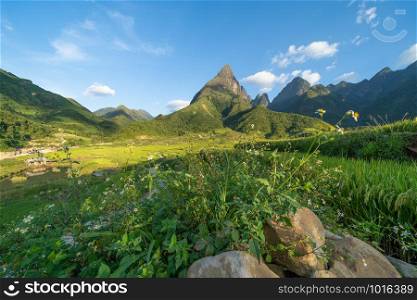 Fansipan mountain hills valley on summer with flowers and blue sky in travel trip and holidays vacation concept, Sapa, Vietnam. Landscape background.