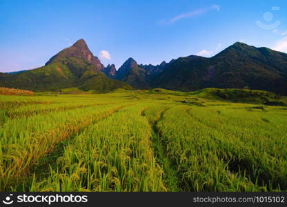 Fansipan mountain hills valley on summer with paddy rice terraces, green agricultural fields in countryside or rural area in travel trip and holidays vacation concept, Sapa, Vietnam. Nature landscape.