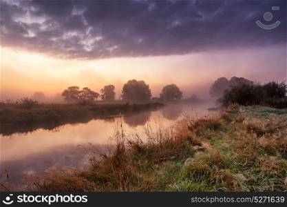 Fantastic foggy river with fresh green grass at the sunrise. Dramatic colorful scenery. Dawn on a riverbank. Misty morning on a river.
