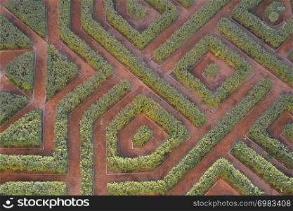 Fantastic Labyrinth of garden