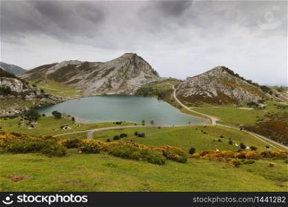 Fantastic lake Enol, one of the famous lakes of Covadonga, Asturias , Spain. Lake Enol