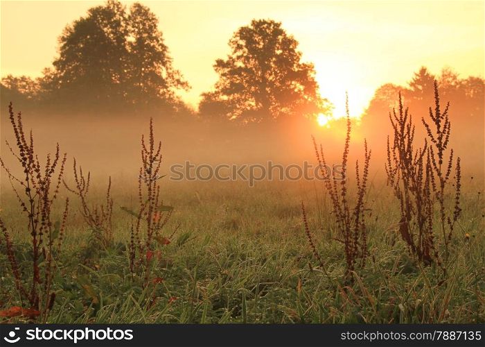 Fantastic orange sunrise on autumn foggy meadow