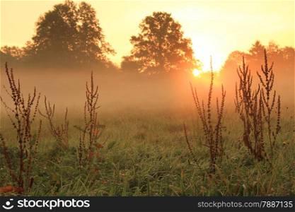 Fantastic orange sunrise on autumn foggy meadow