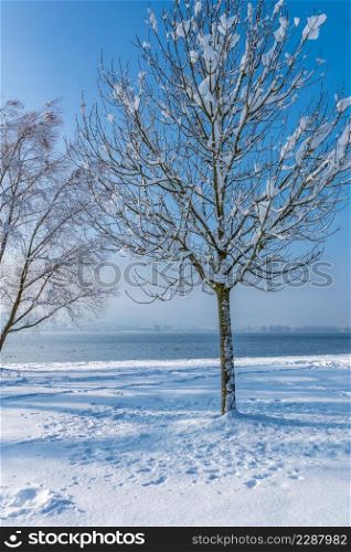 Fantastic snowy landscape on Lake Constance with blue sky