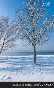 Fantastic snowy landscape on Lake Constance with blue sky