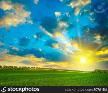 Fantastically beautiful bright sky over green farm field.