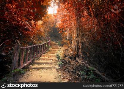 Fantasy forest in autumn surreal colors. Road path way through dense trees. Concept landscape for mysterious background