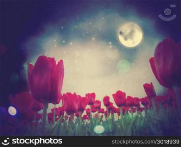 Fantasy illustration of red tulip flowers at night time.