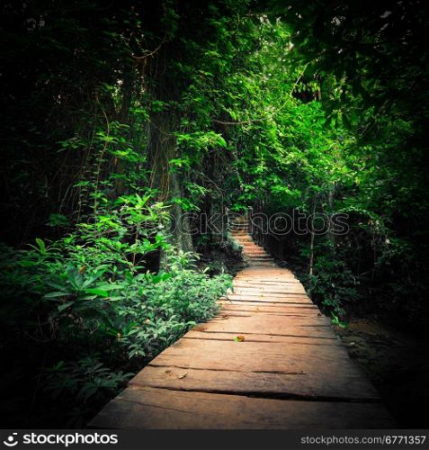 Fantasy jungle deep forest in dark colors. Wooden road path way through tropical trees. Concept landscape for mysterious background