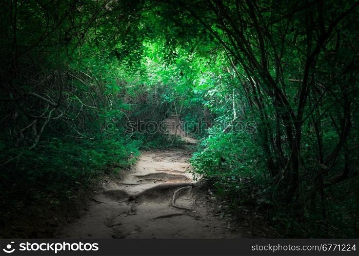 Fantasy landscape of tropical jungle forest with tunnel and path way through lush