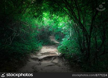 Fantasy landscape of tropical jungle forest with tunnel and path way through lush