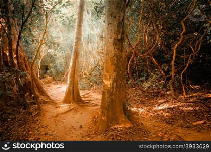 Fantasy tropical jungle forest in surreal colors. Concept landscape for mysterious background