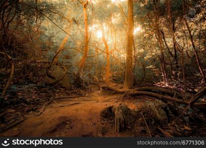 Fantasy tropical jungle forest in surreal colors. Concept landscape for mysterious background