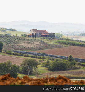 Far farm on the hill in the fields, square image