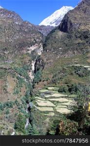 Farm and field on the slope of mount in Nepal