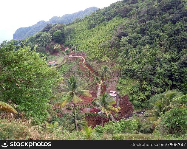 Farm and staicase on the hill in island Dominica
