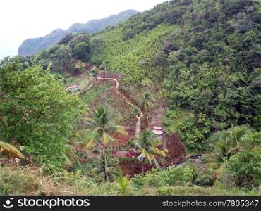 Farm and staicase on the hill in island Dominica