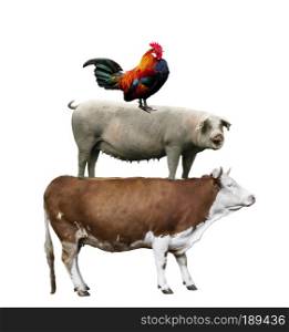 Farm animals. Cow, pig and chicken stand on each other