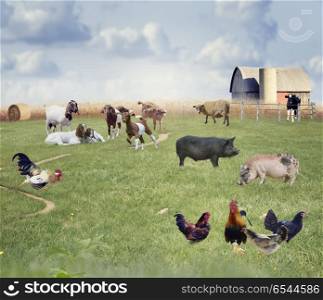 Farm Animals in a field. Farm Animals collage