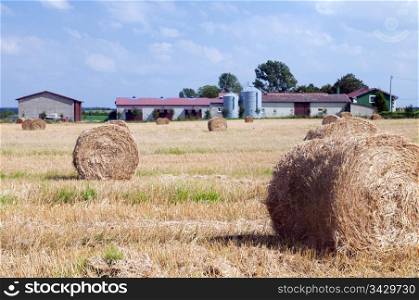 Farm buildings and haystack on the field