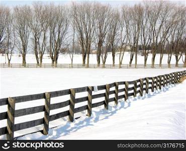 Farm fence and trees in the lane in the winter