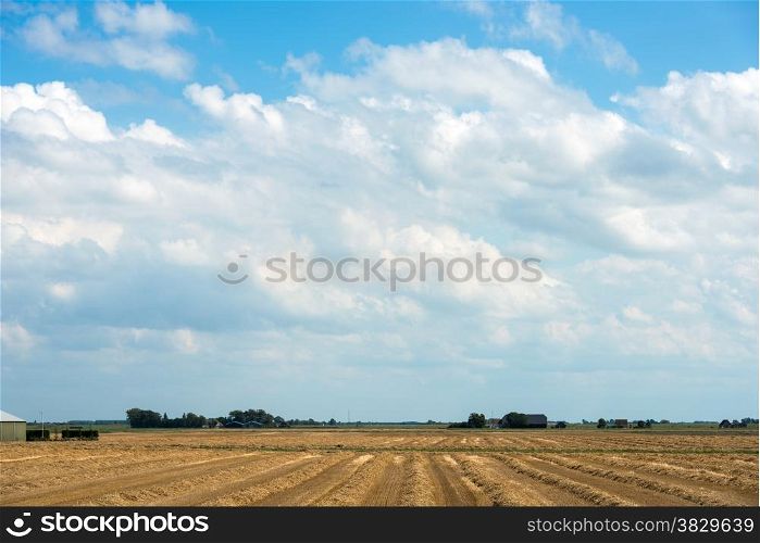 farm field with buildings golden wheat and blue sky