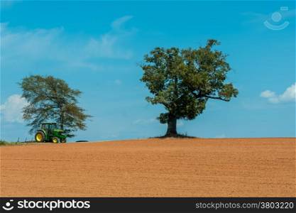 farm field with lone tree and blue sky